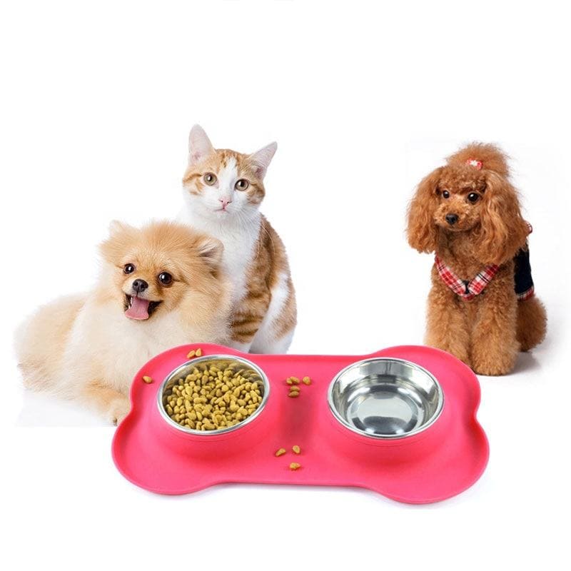 Stainless Steel Double Pet Bowl With Silicone Mat – DuDoo Pets